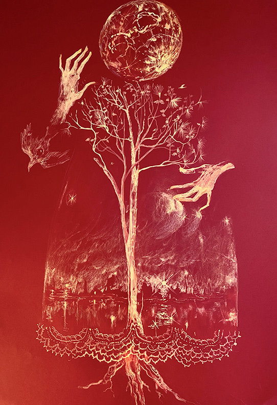 Liz Downing drawing, Virginia Pine