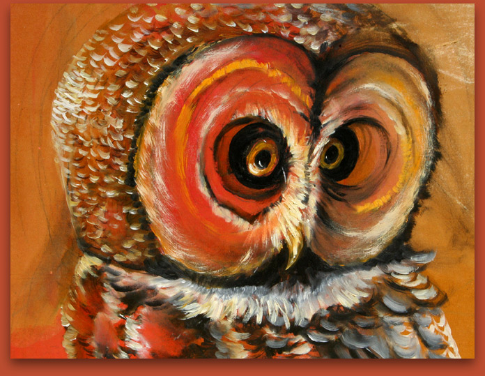 Owl Portrait