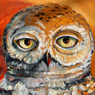 Snow Owl