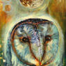 Owl and Moon